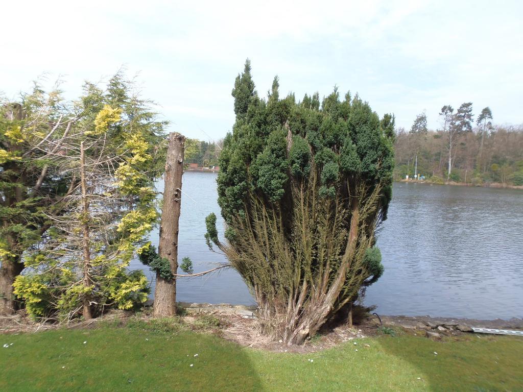 Lakeside Continental Hotel Camberley Buitenkant foto